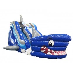 Shark Tank Slide