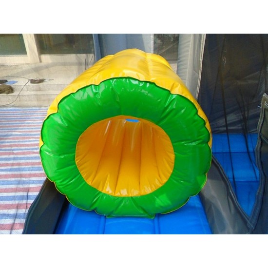 Dragon Bounce House Dragon Bounce House