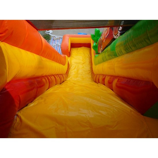 Cars Double Lane Slide Cars Double Lane Slide