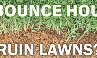 Will a Bounce House Kill Grass?